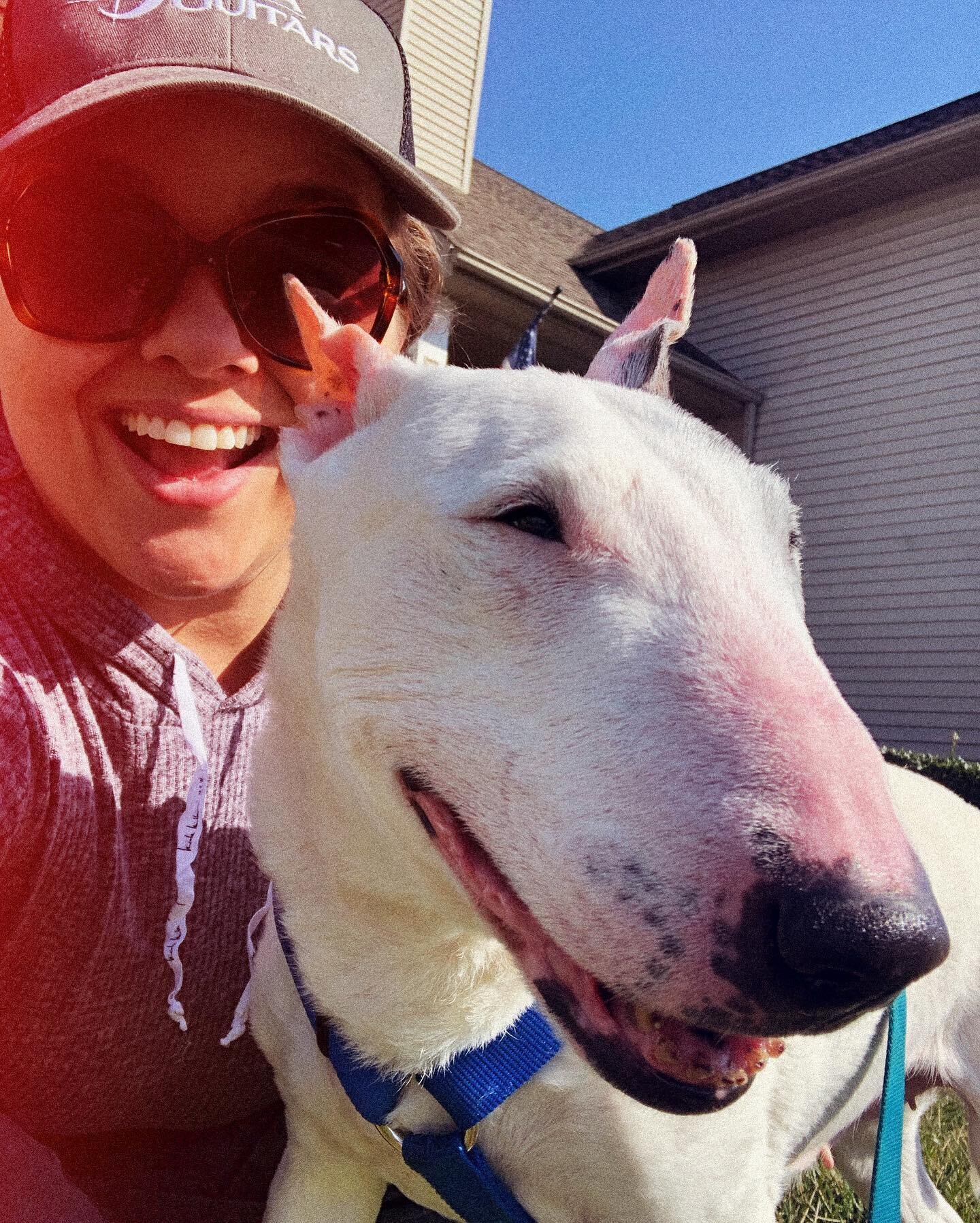 🌸starting to see signs of spring popping up along our walk today&hellip; and rox is super happy about it 🐶 happy tuesday friends!