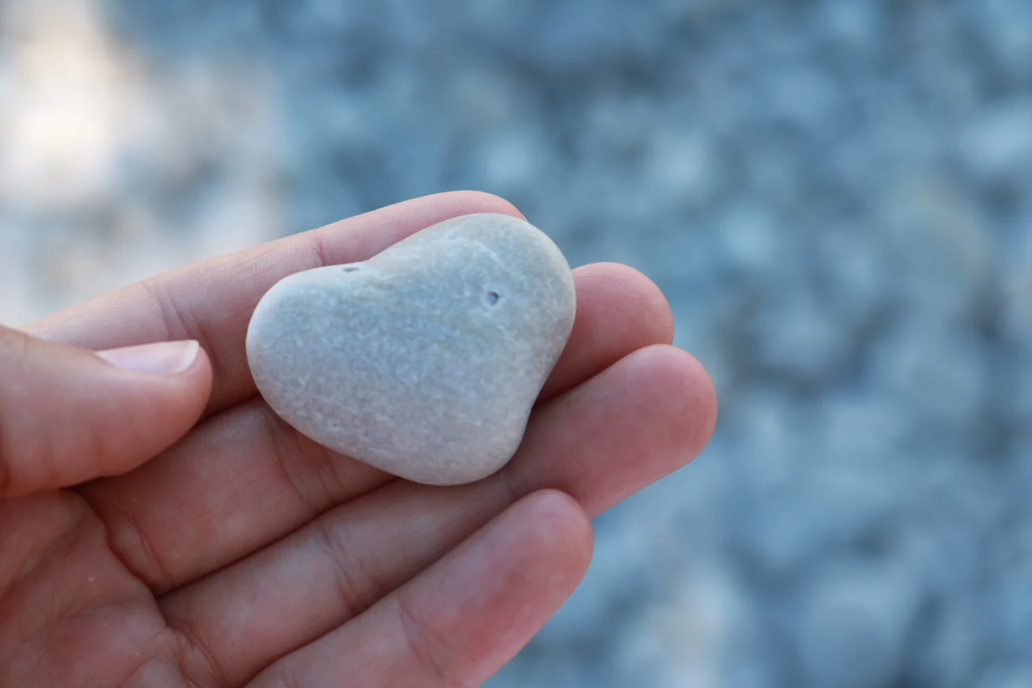 heart.jpg