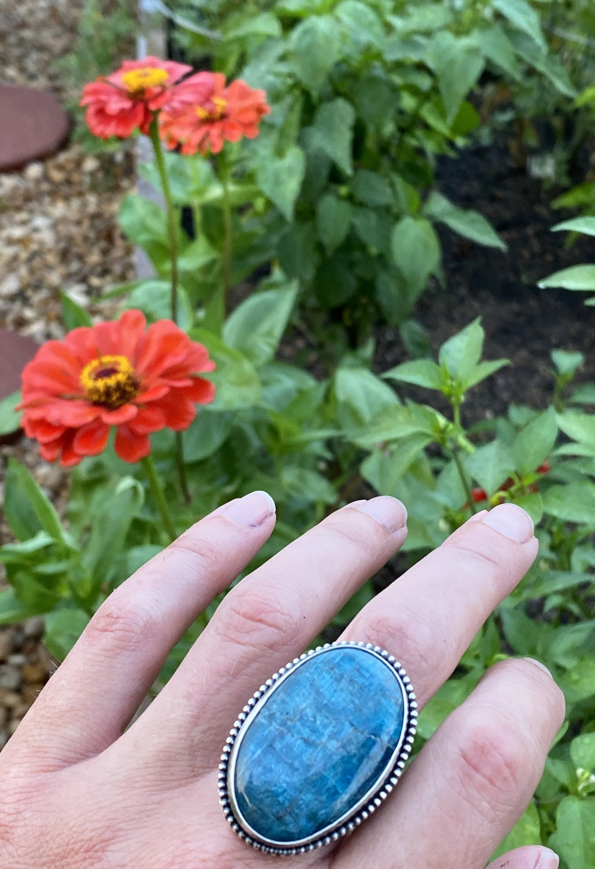 36EB24BF-12C3-4DF0-ADD7-9CE49F405AA7