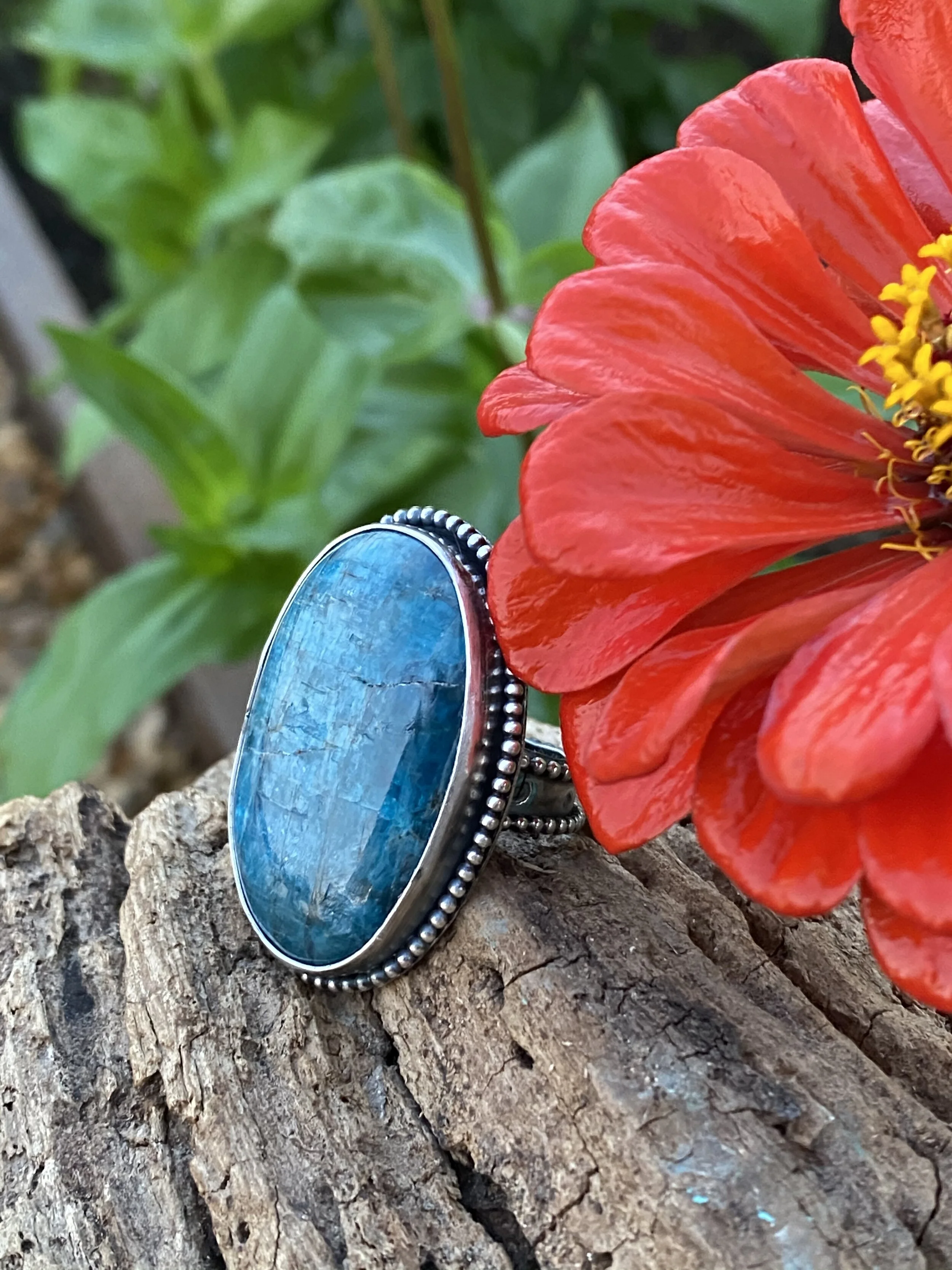 C4AFAF60-89EE-469B-BD3B-79C1D425BF82