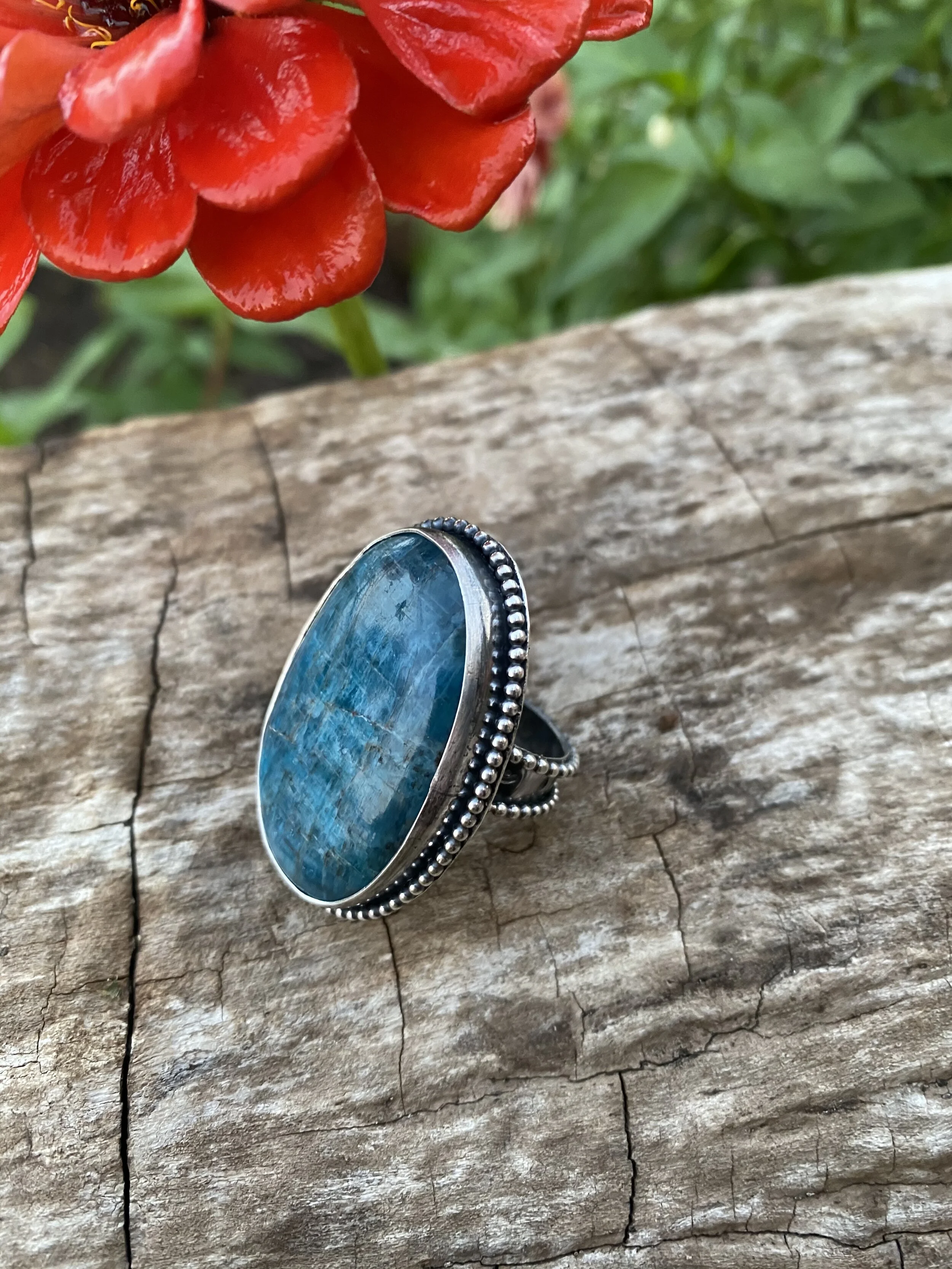 1DEE7BB4-DB2B-44E2-89A4-FD083F77628B