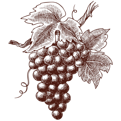 natural wine bar