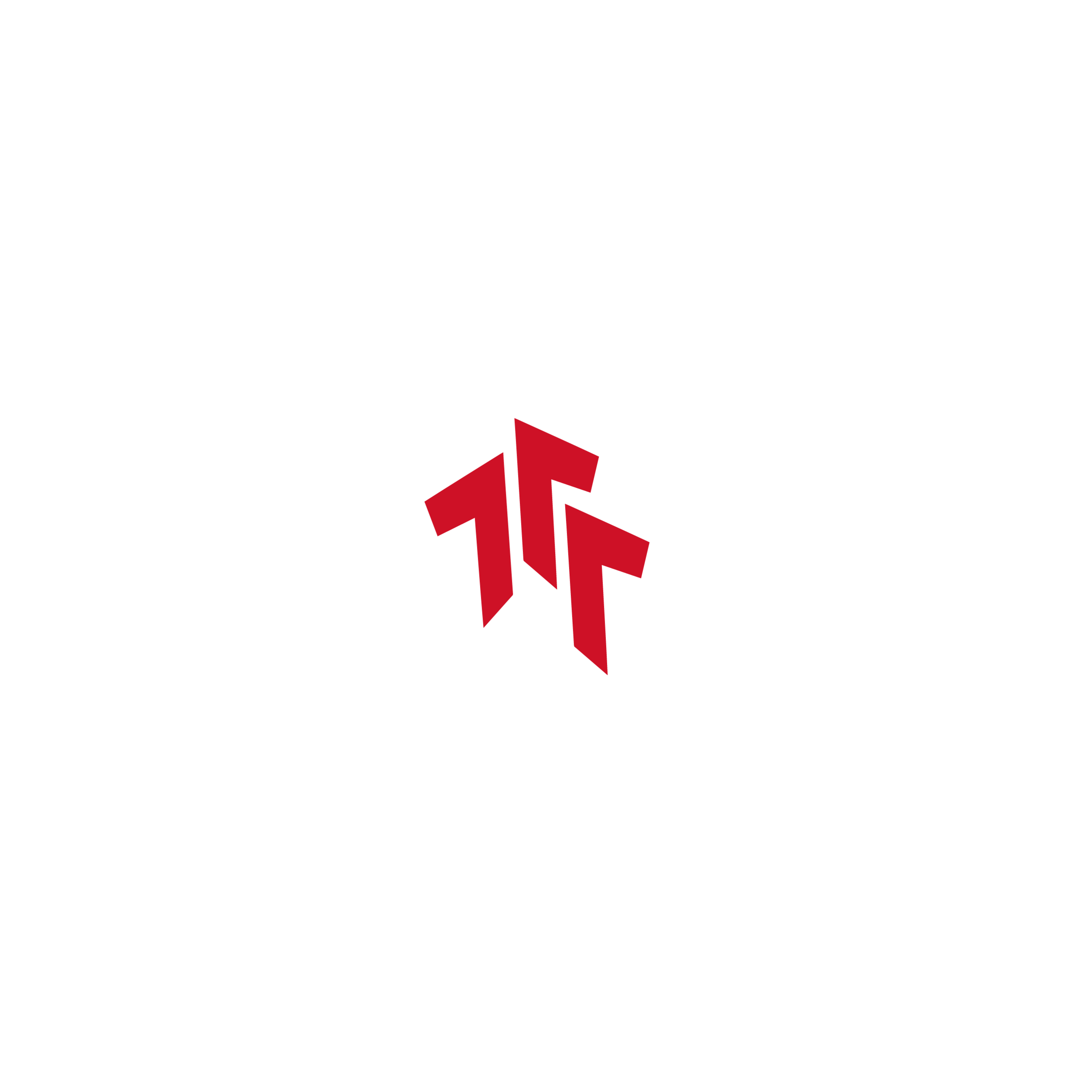 Timehri FF Logo-02.png