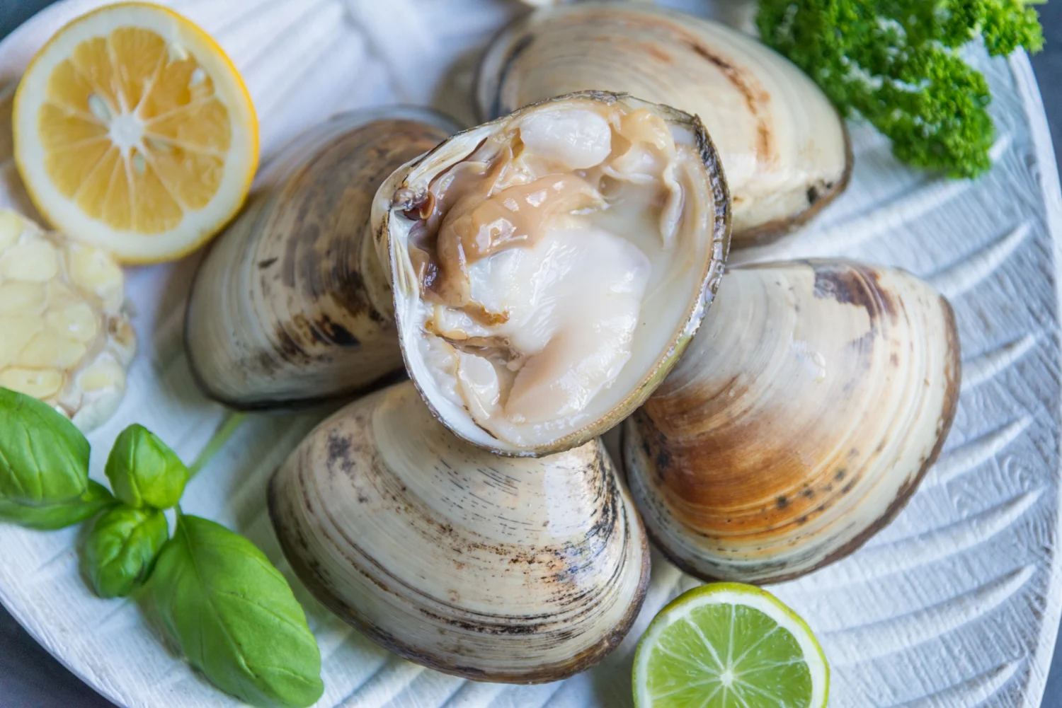seafood - low res-190.jpg