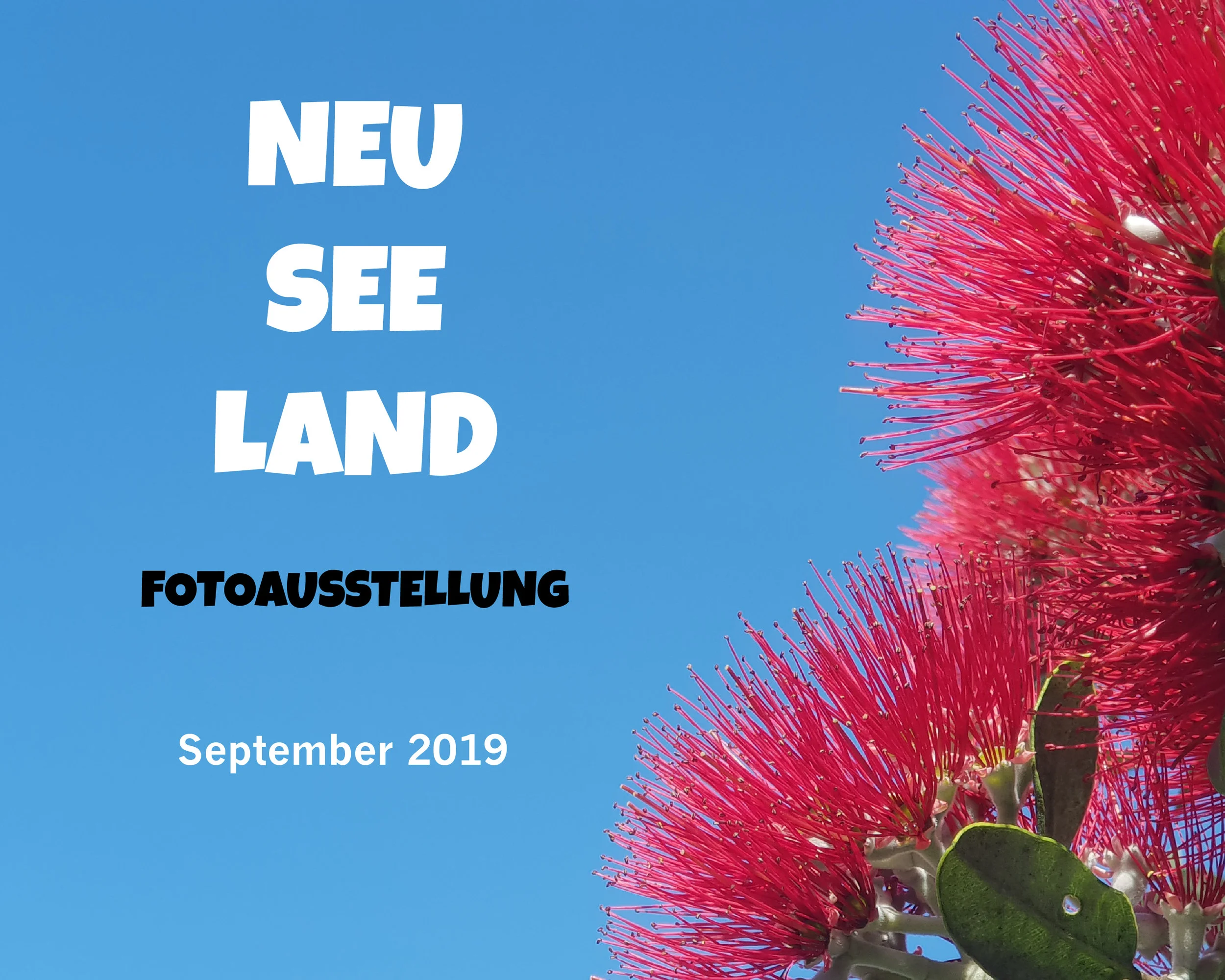 Buch zur Neuseeland Fotoausstellung 2019.jpg