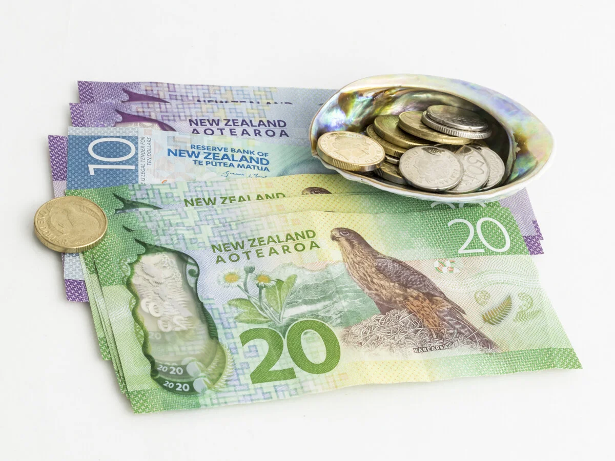 49 Small NZ Money XV.jpg