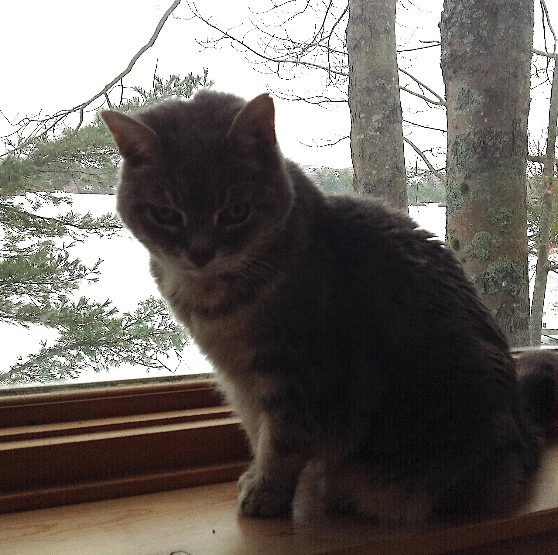 Doris, December 2018.