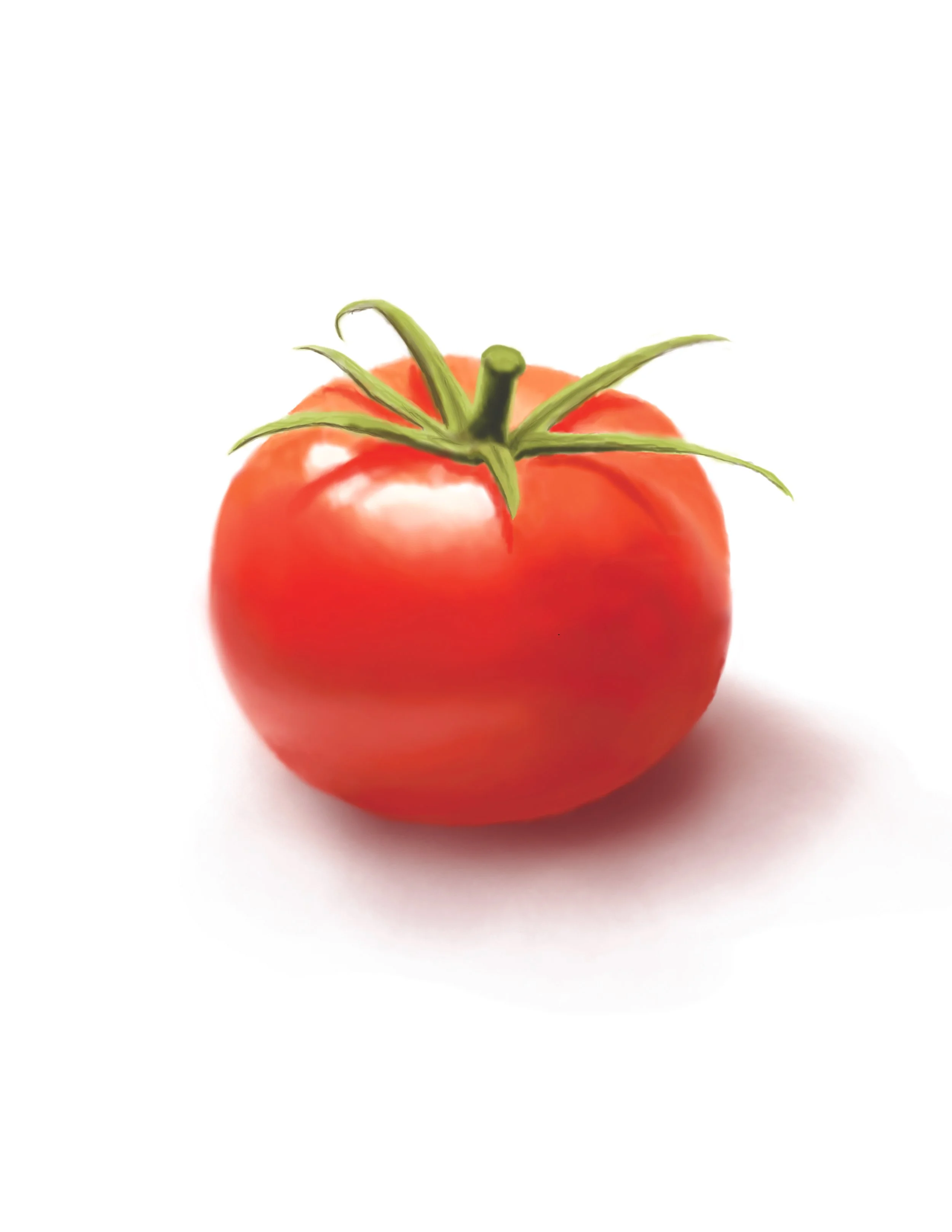 tomato.JPG