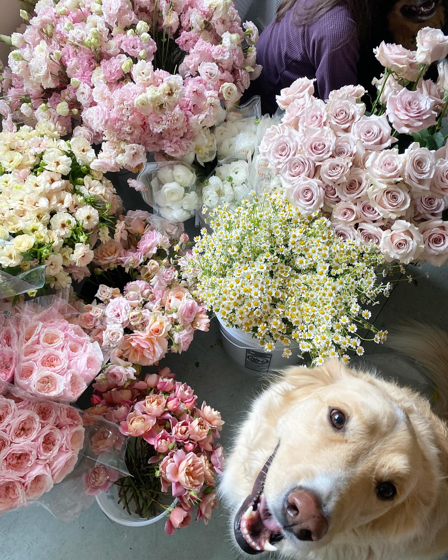 It&rsquo;s 70&deg;, the studio is clean and full of fresh flowers. The spring birds are deafening and a warm breeze is flowing through the open windows. Life is good. ☀️ 

(A vision in which I think about when it&rsquo;s dumping snow outside).
