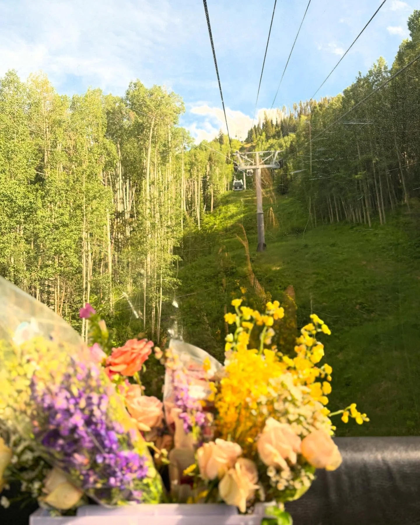 The Colorado summer commute 🫡