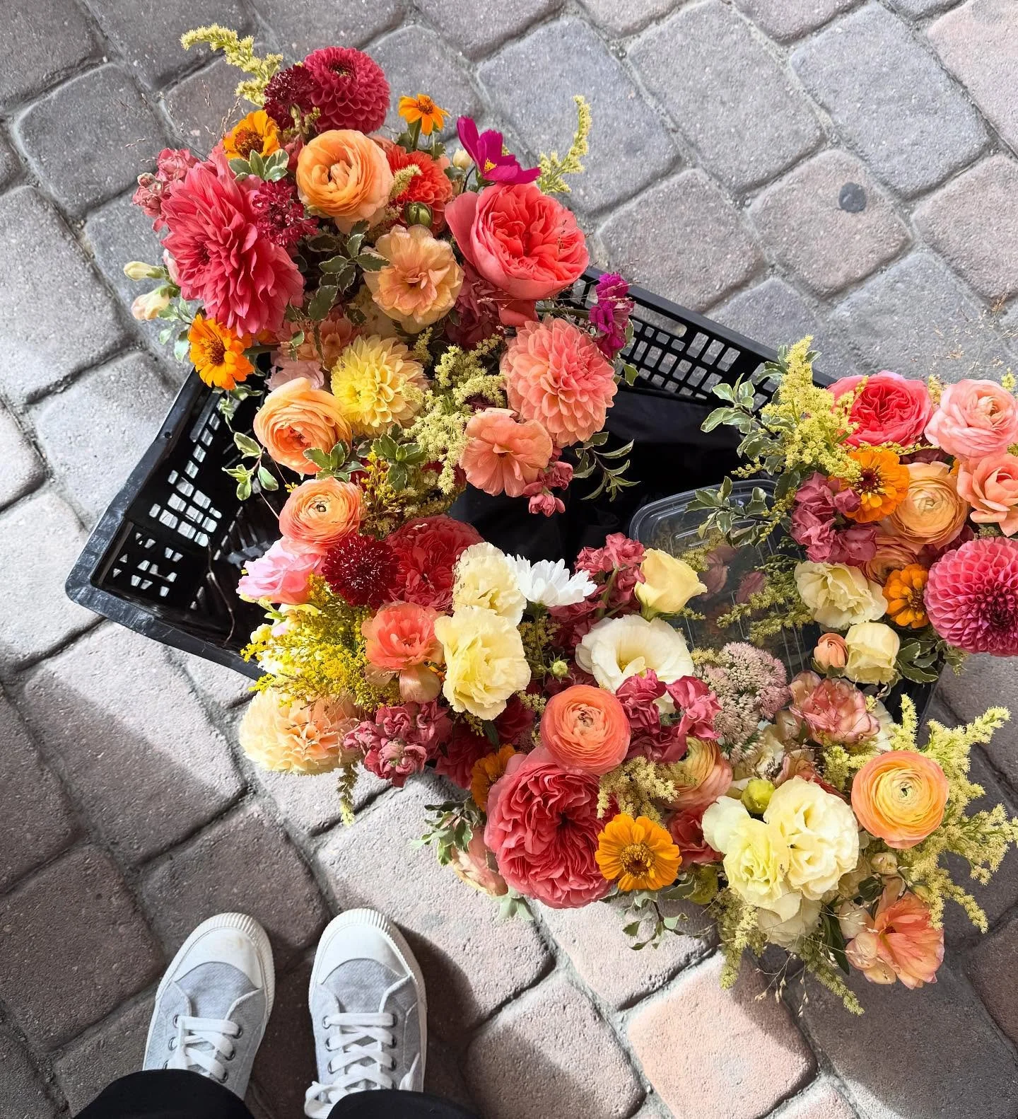 This week in flowers 🍂