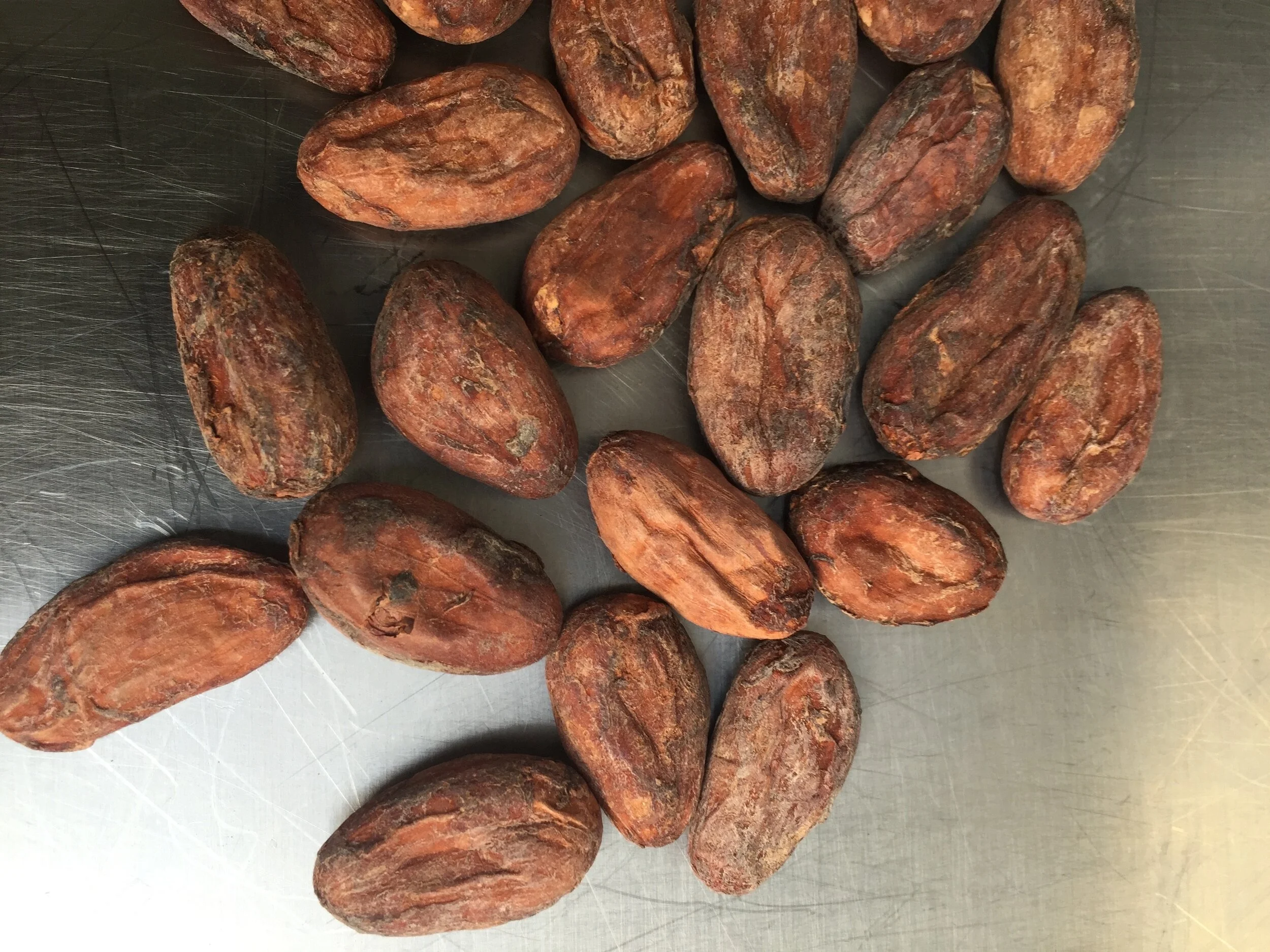 Cacao &amp; Your Health
