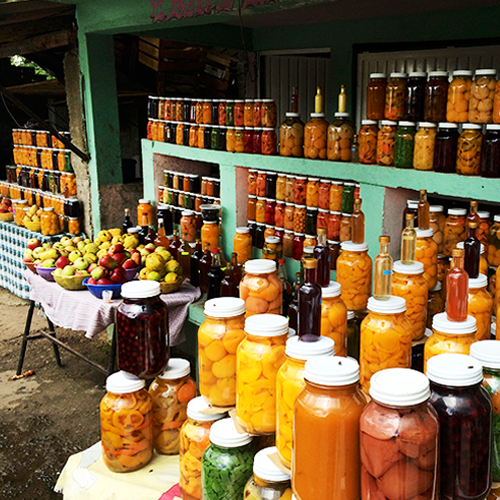 Memories of Home in Guanajuato &amp; Michoacan