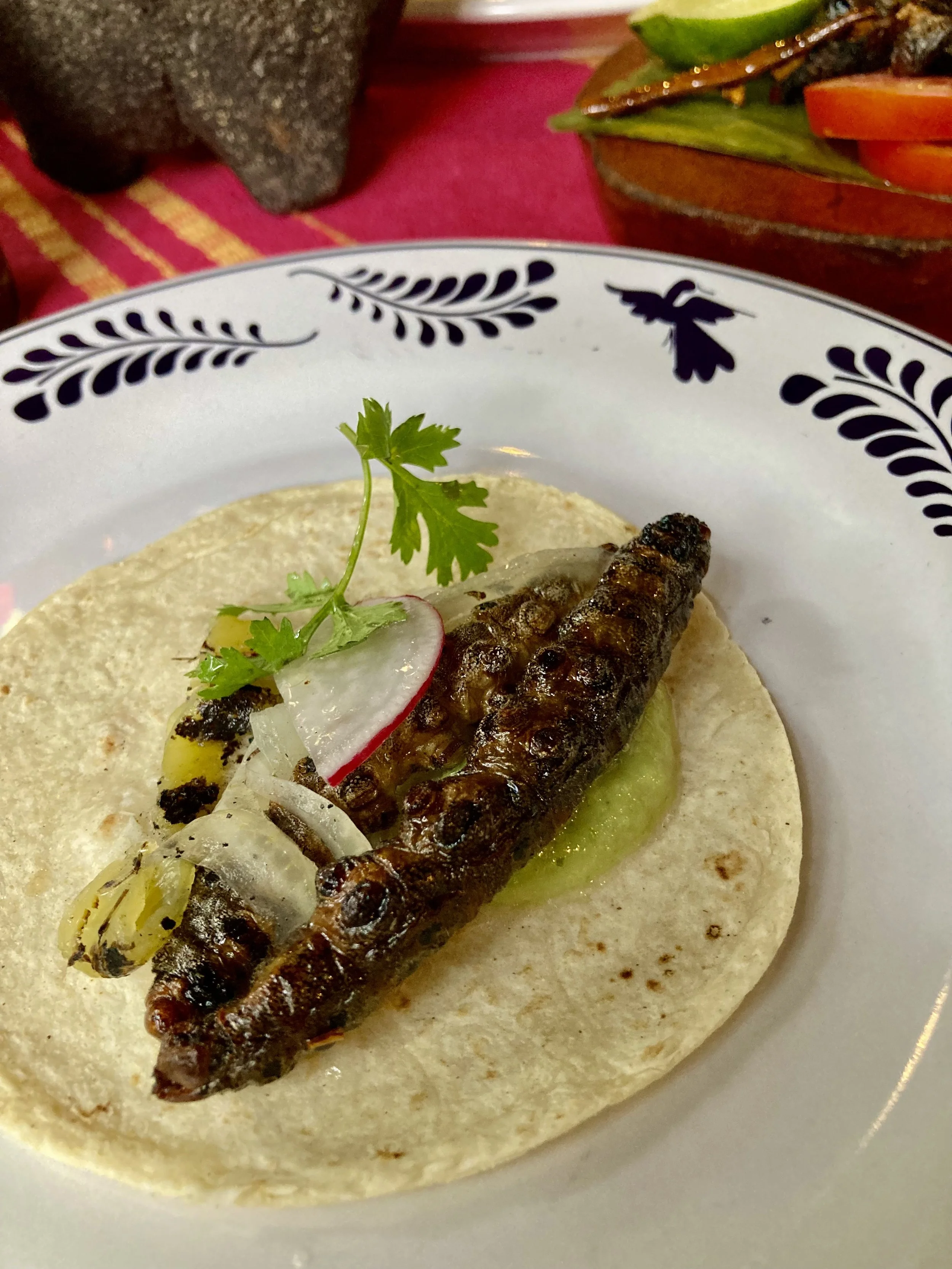 Favorite Chiapaneco Ingredients 