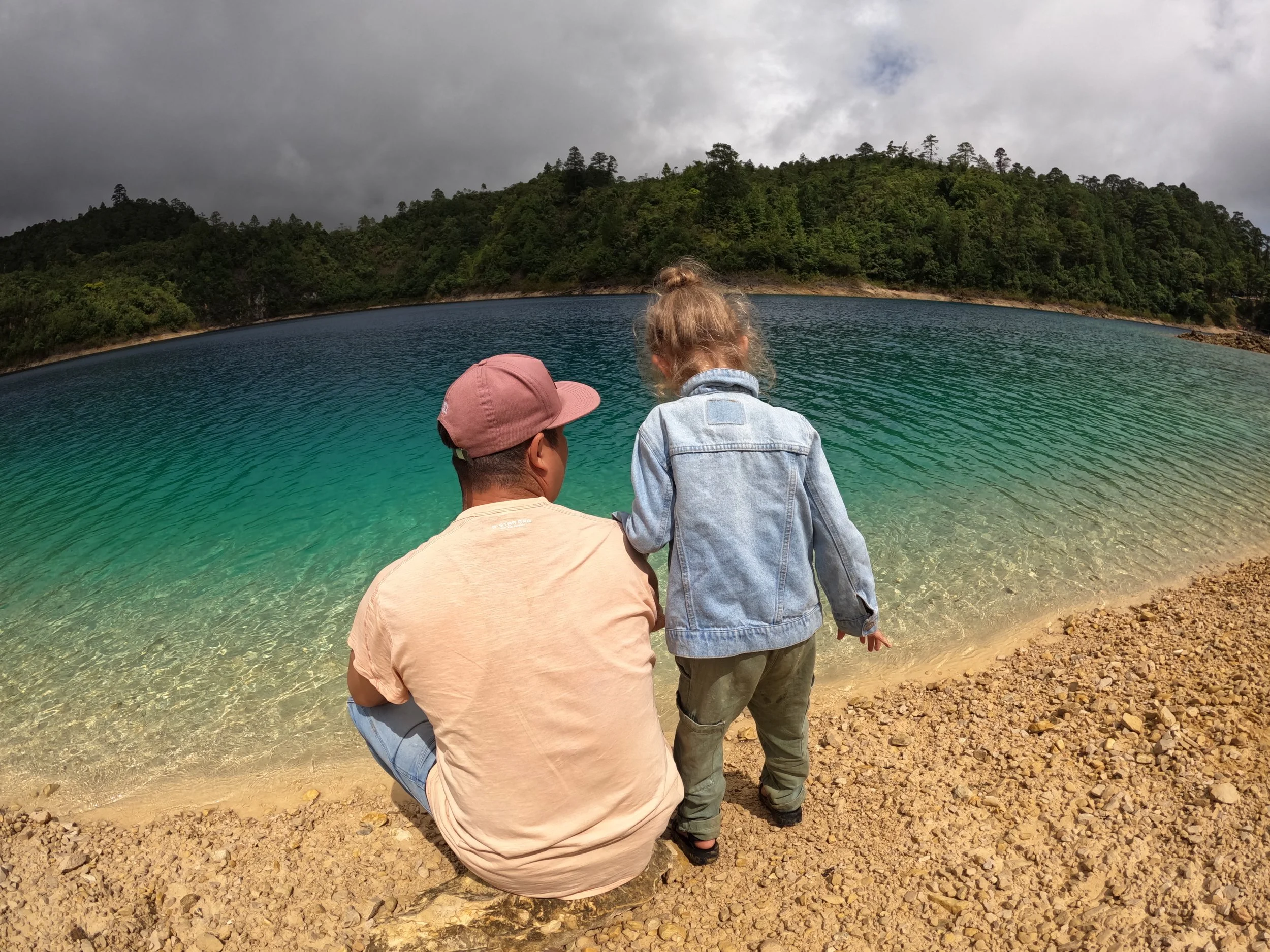 Pine Trees and Islands, Los Lagos Montebello