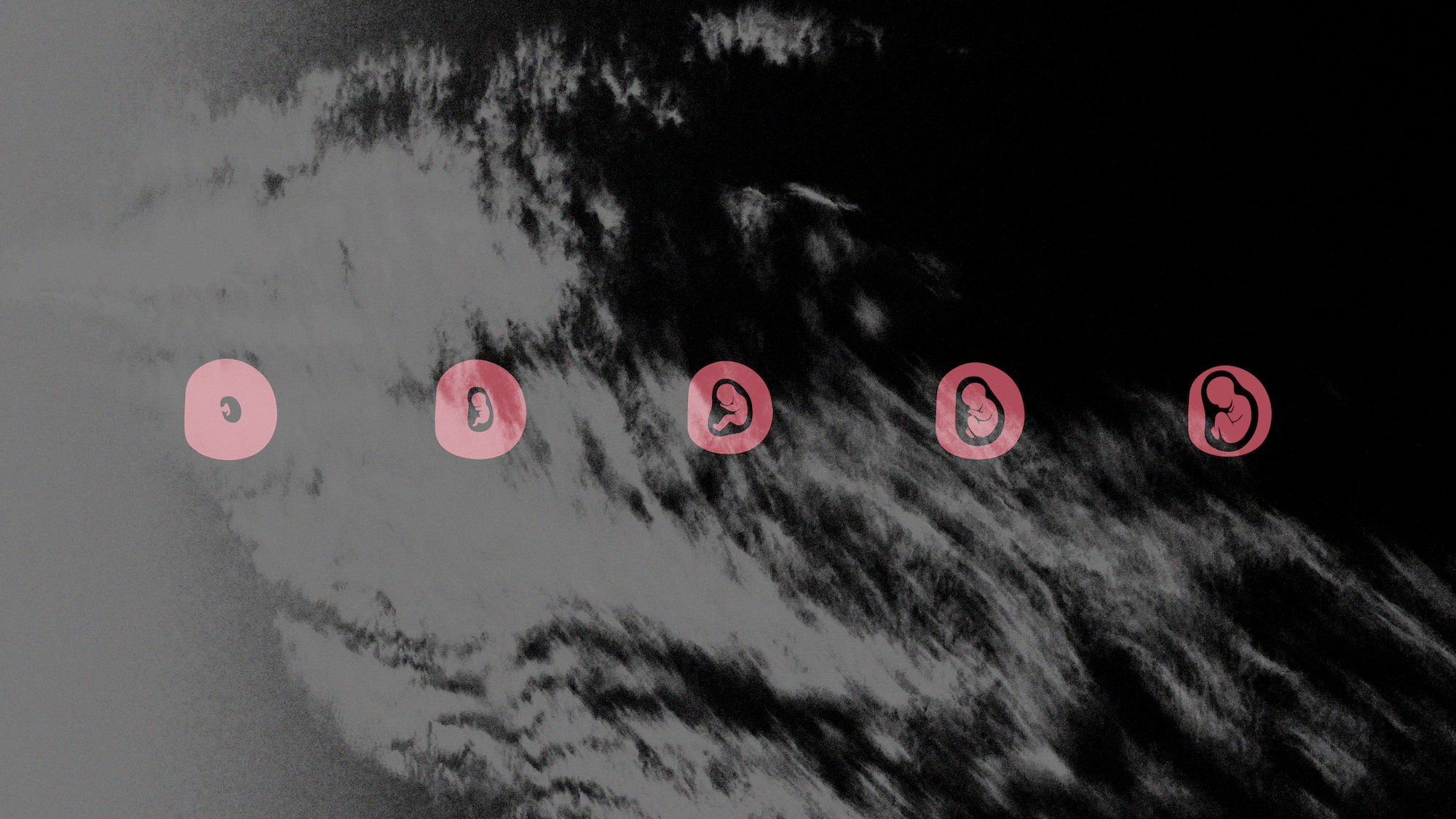 Not Yet Born: A Biblical Defense of Preborn Humans