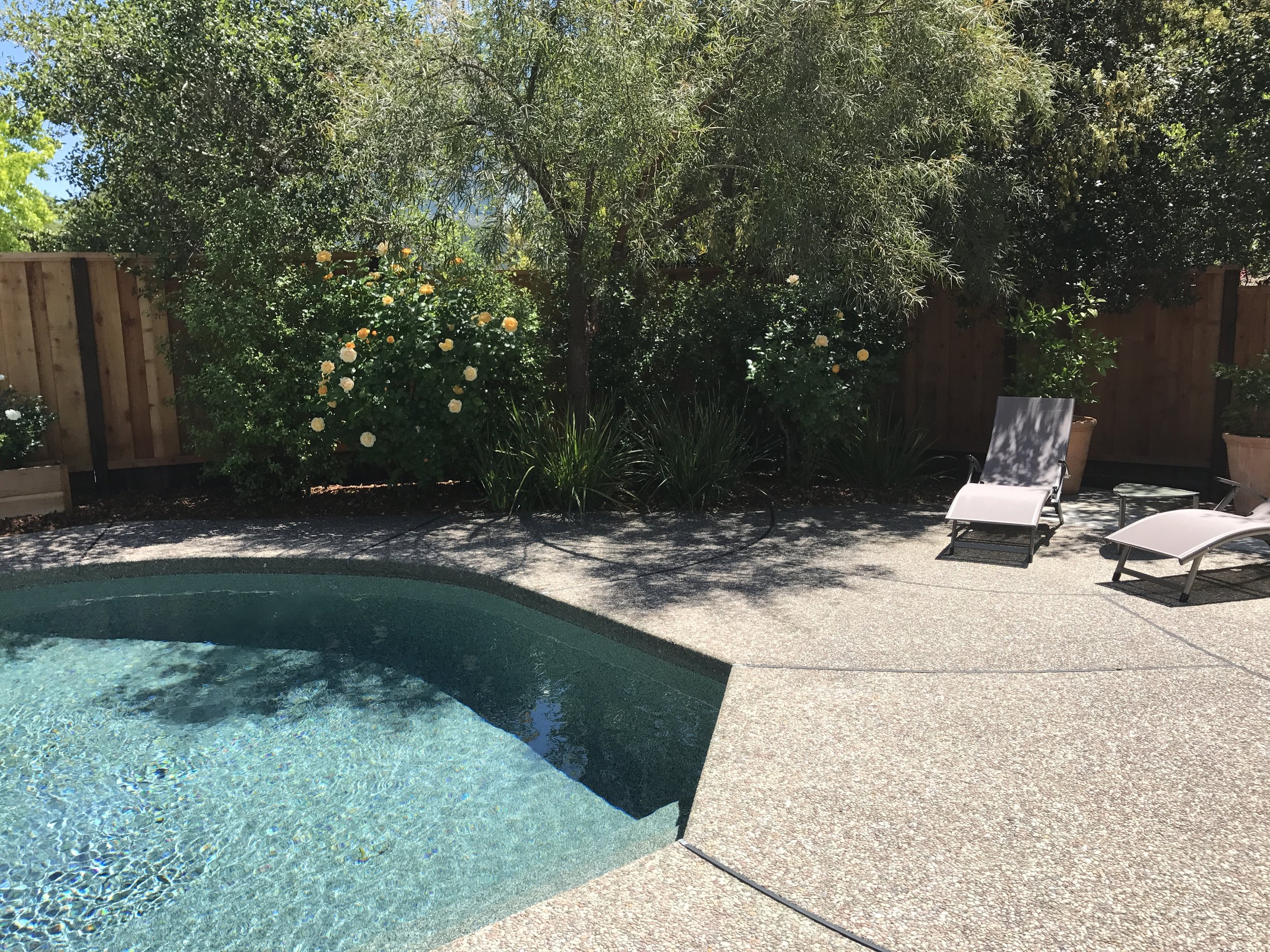 We went swimming both Saturday and Sunday this weekend! We just installed solar power to heat the pool and on Sunday it was up to almost 80F! Amelia is loving it!