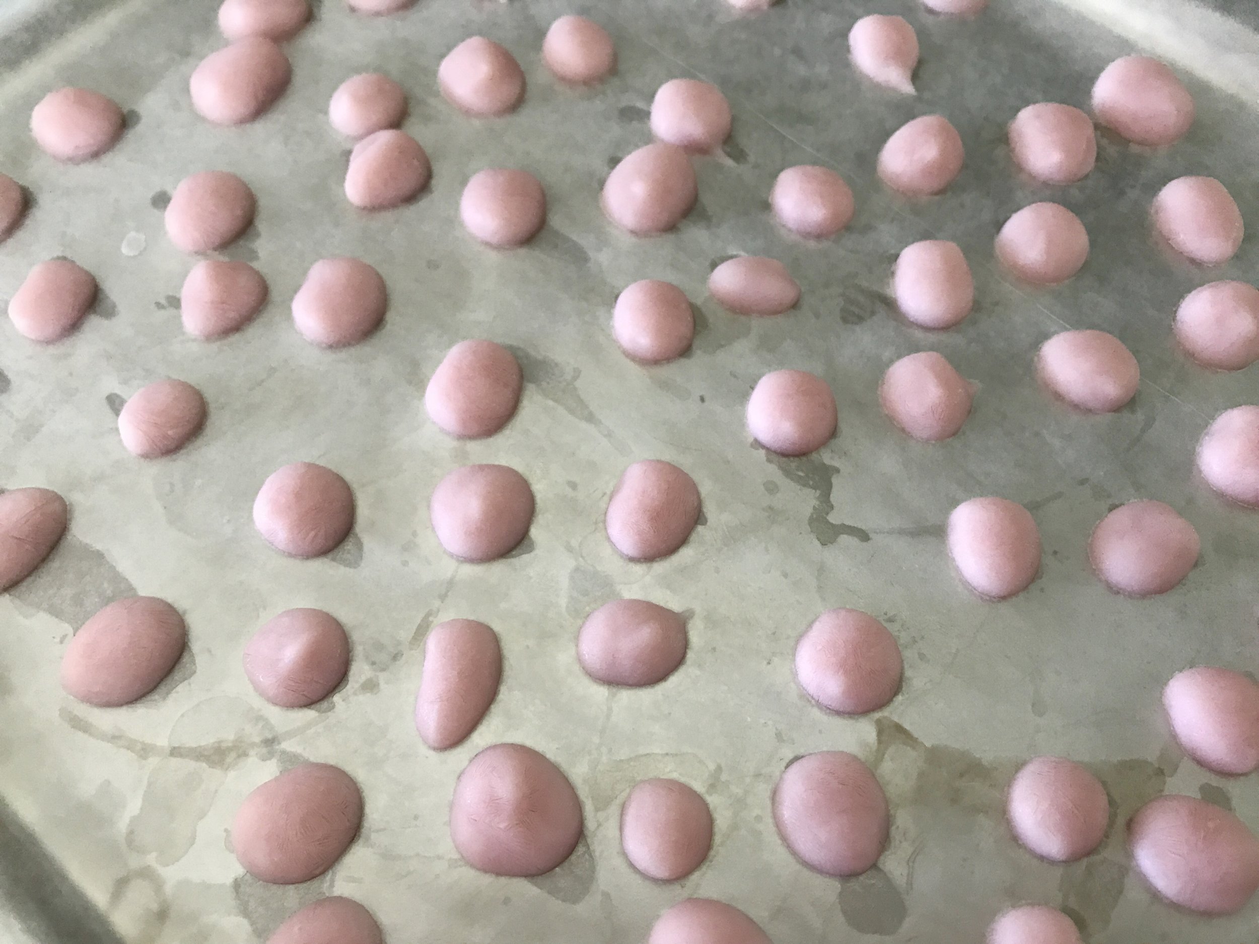 Prepaired some frozen yogurt dots for Amelia! Spoon yogurt into a ziploc bag and seal. Then, take out a platter or cookie sheet and line with waxed paper. Taking scissors, snip a small bottom corner off the ziploc bag and squeeze small dots of yogurt onto the sheet. Place in freezer and freeze (takes about 3 hours). Then pop off and store in a container in the freezer!