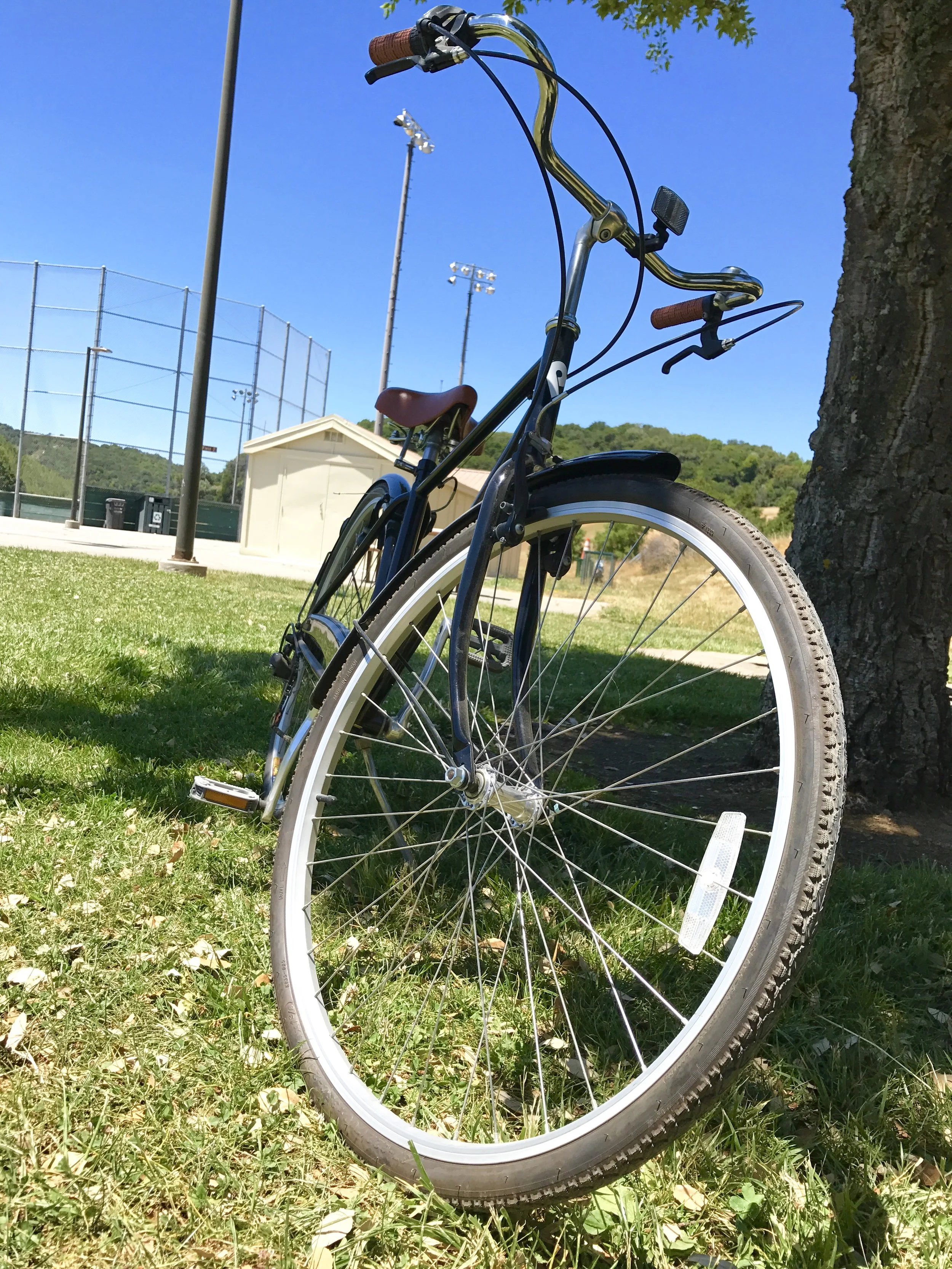 This weekend I went bike riding for the first time in well over 20 years. Conqured that fear and enjoyed an amazing day with my little family!