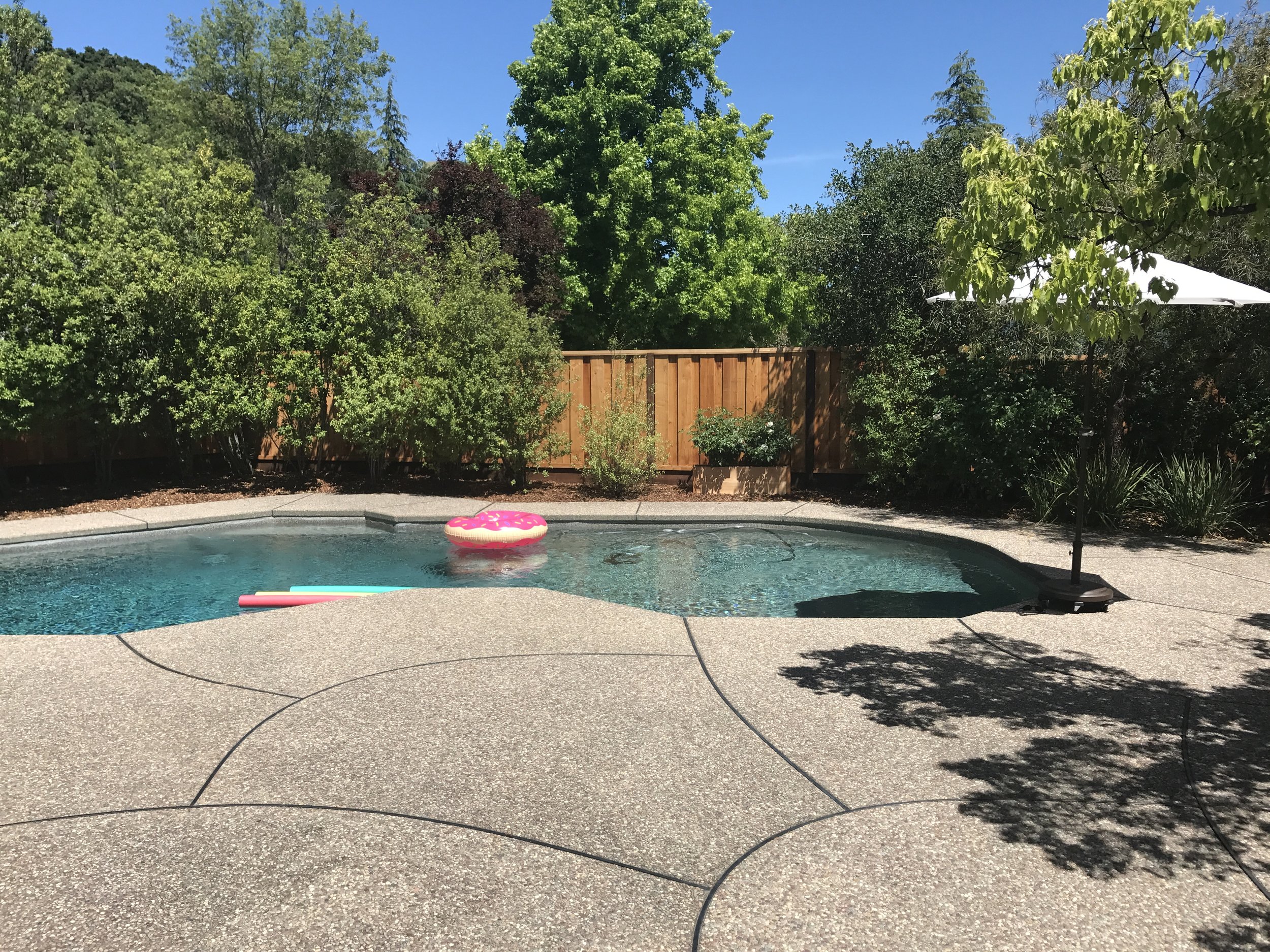 Sunday pool side! Enjoying this weather and the solar heating in the pool!