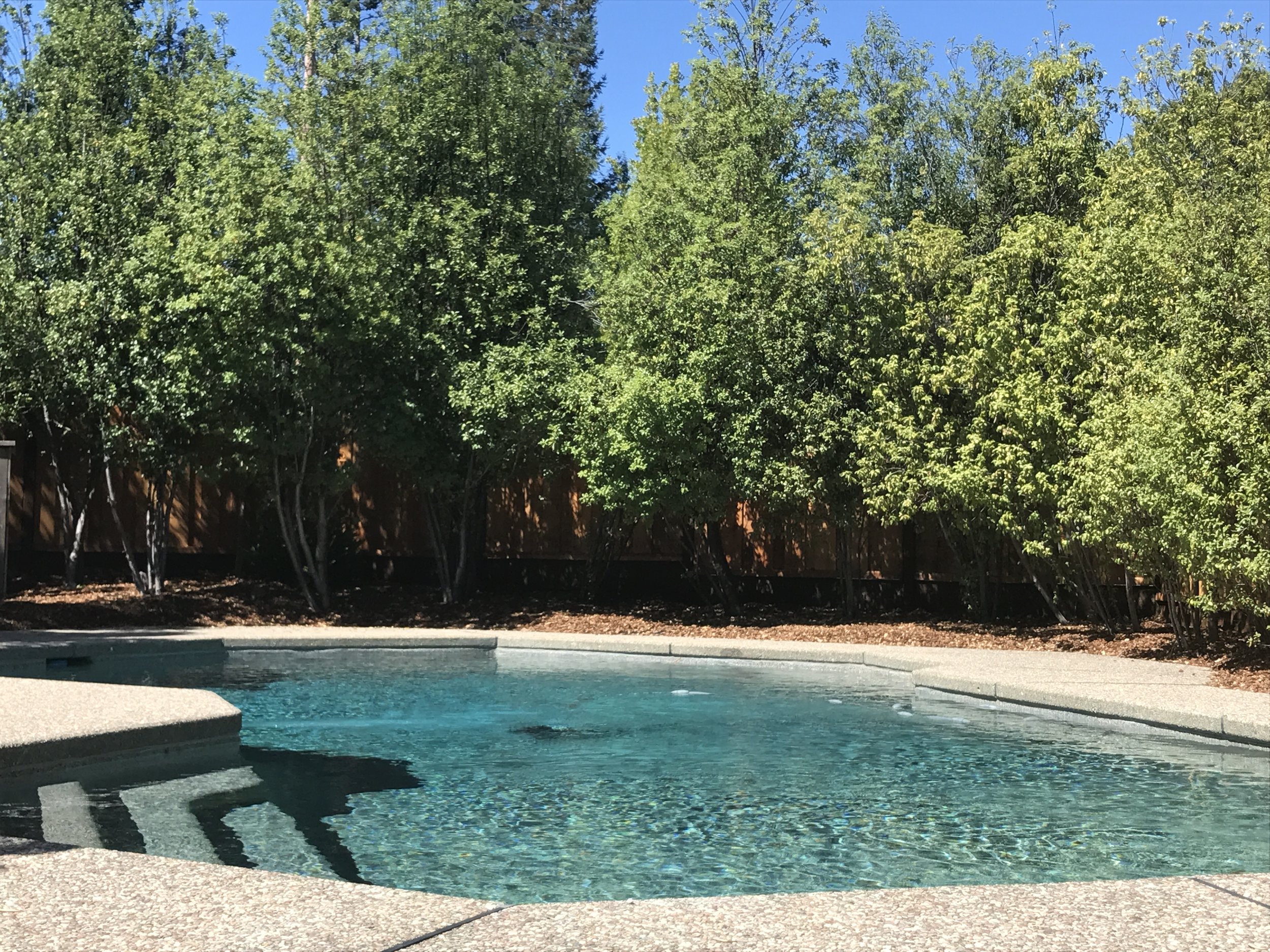 We spent some lovley moments enjoying our pool and relaxing on our patio chairs while baby girl napped!