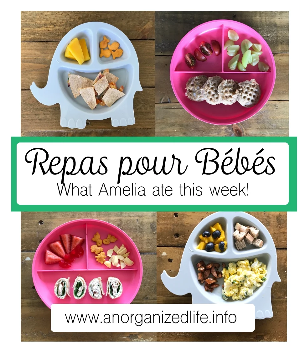 Repas-pour-bebe.jpg