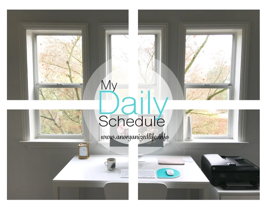Daily-schedule-Pint.jpg