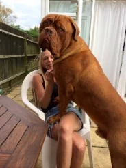 The wonderful Hugo