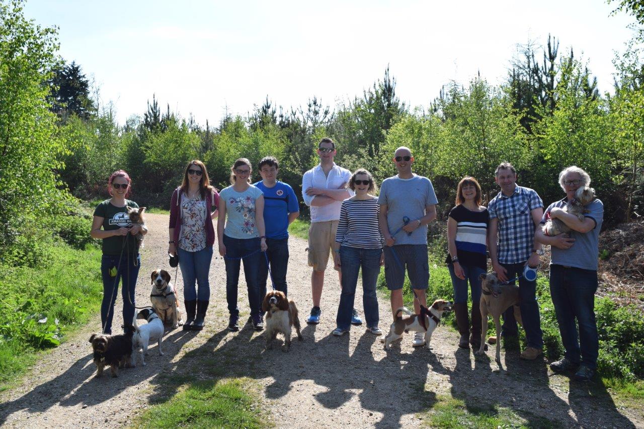 Pack Walk May 2017