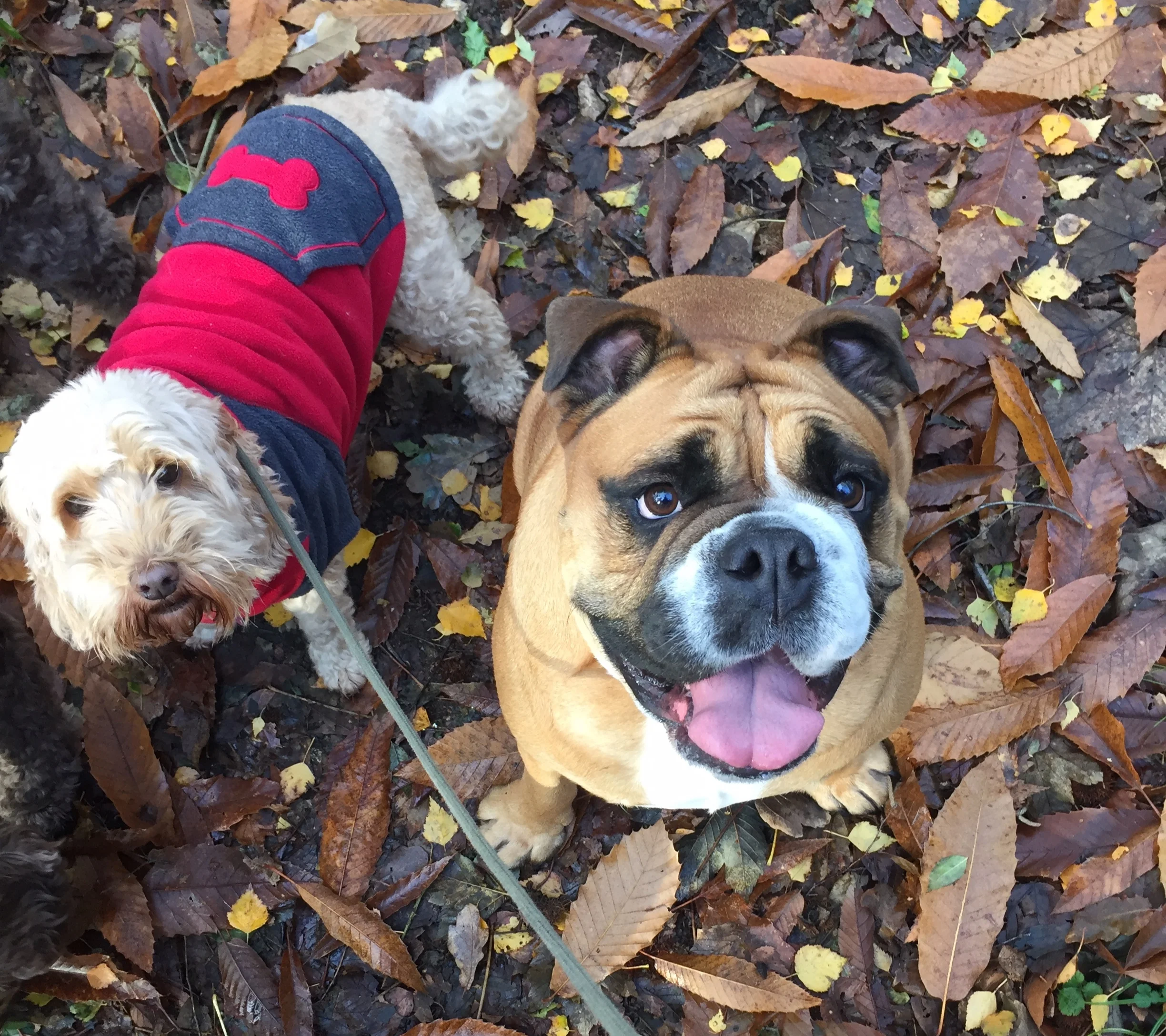 Humphrey & Tilly