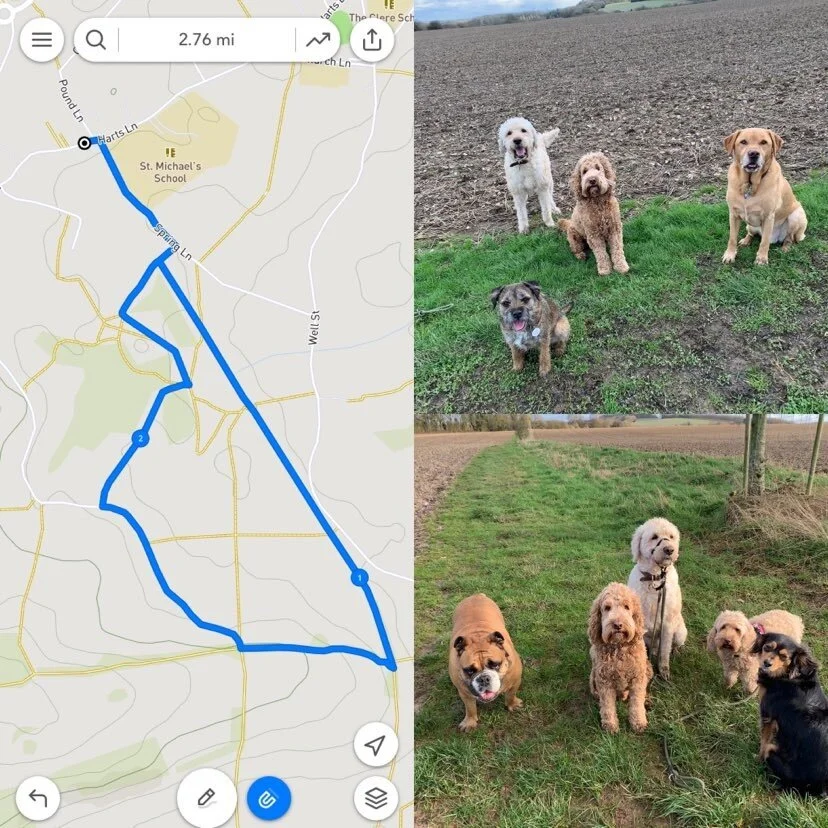 Walking Route; Burghclere & The Carpenters Arms, Newbury, Berkshire