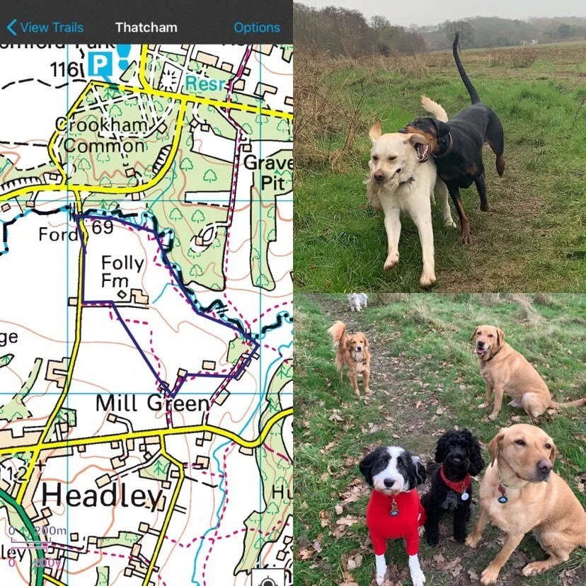 Walking Route; Headley Ford, Newbury, Berkshire — Jurassic Bark