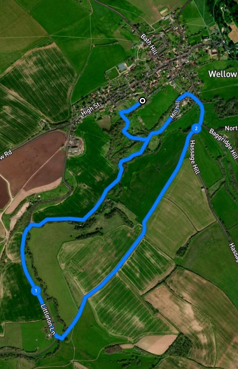 Walking Route; Wellow, Bath — Jurassic Bark