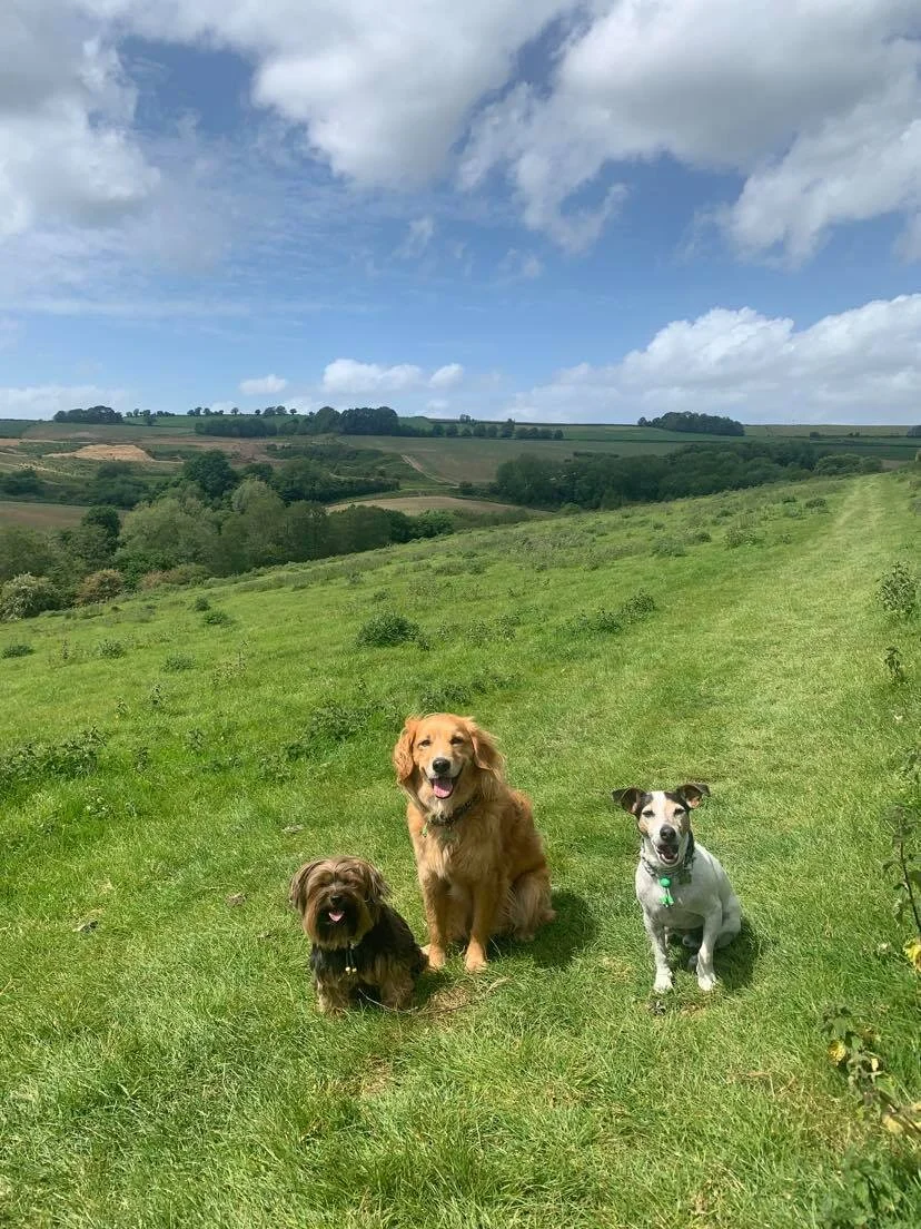 Walking Route; Wellow, Bath — Jurassic Bark