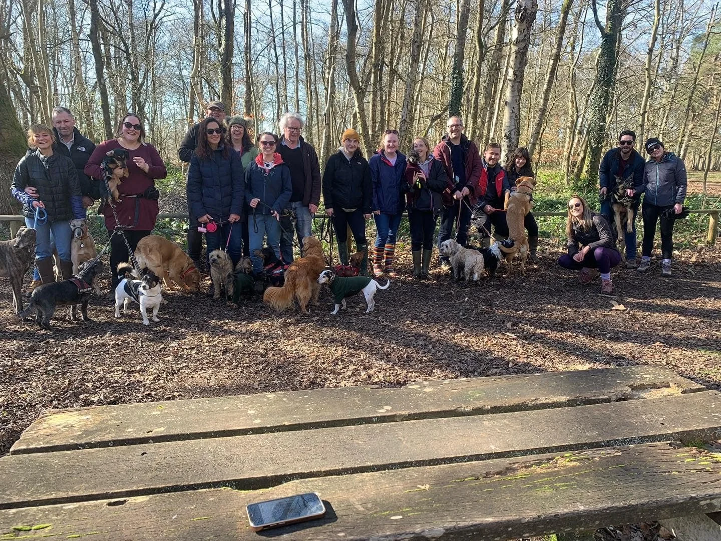 Jurassic Bark Pack Walk Newbury