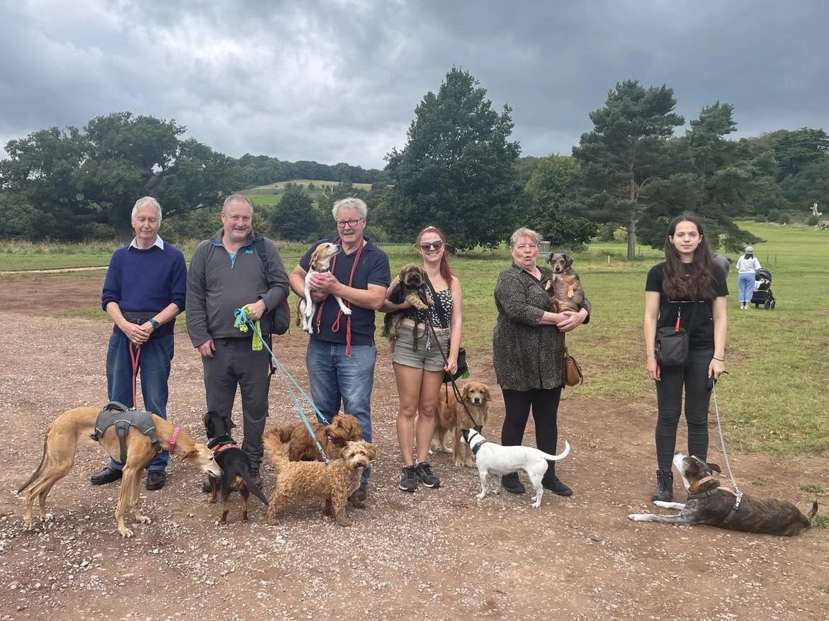 Jurassic Bark Pack Walk Bristol