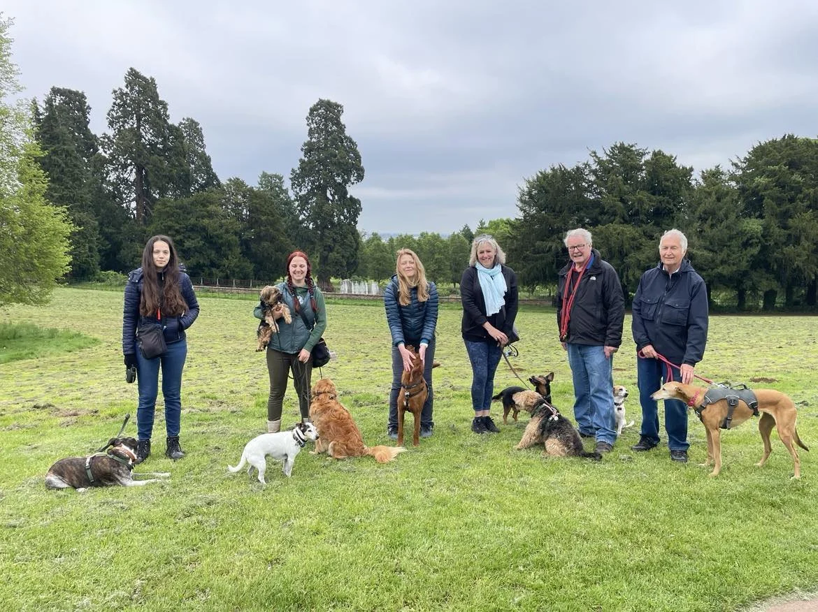 Jurassic Bark Pack Walk Bristol
