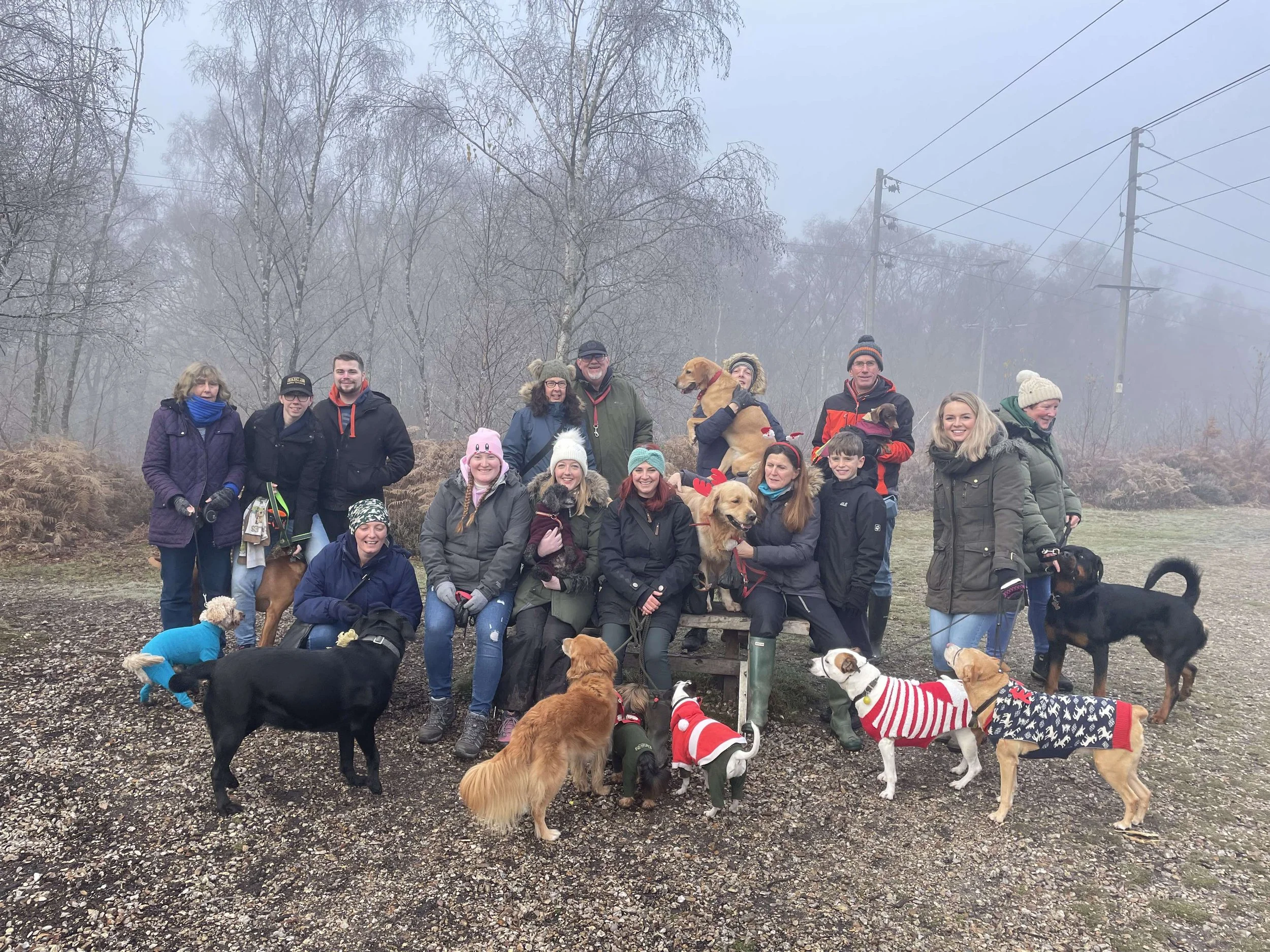 Christmas Pack Walk Newbury