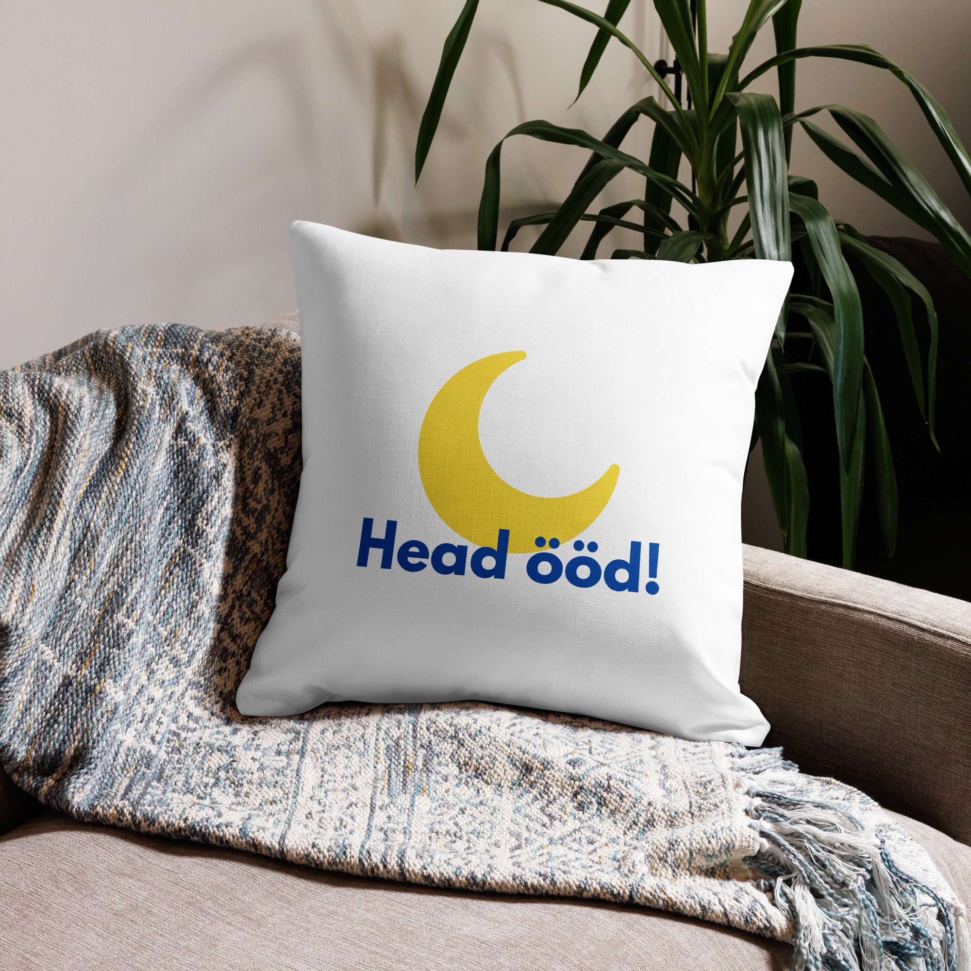 all-over-print-premium-pillow-22x22-back-668d942fac571.jpg