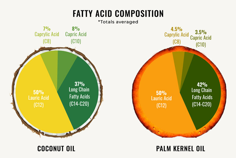 Palm ( Kernel ) Oil Powder