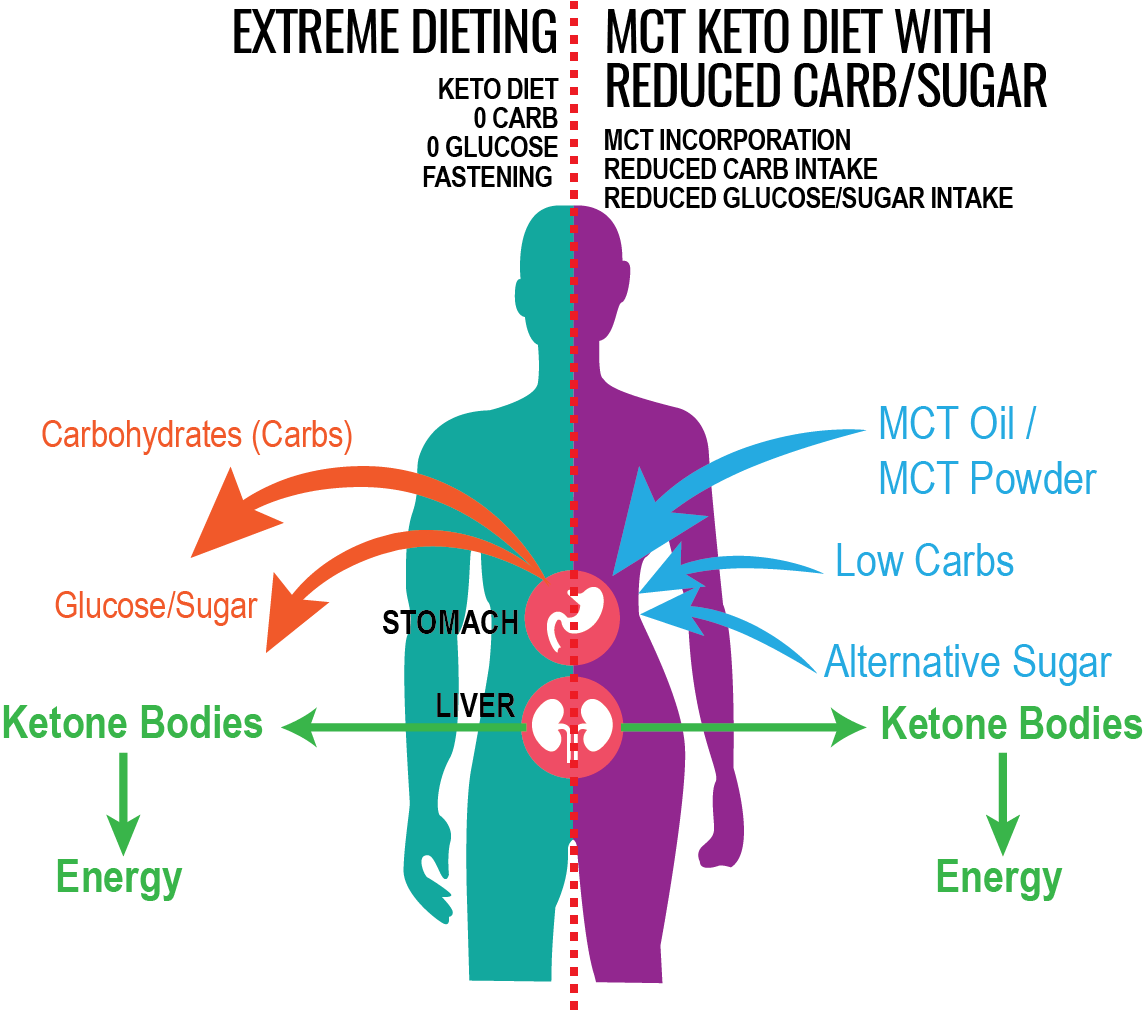 Ketones & MCT The long hard truth — MCT Oil and MCT Powder Supplier