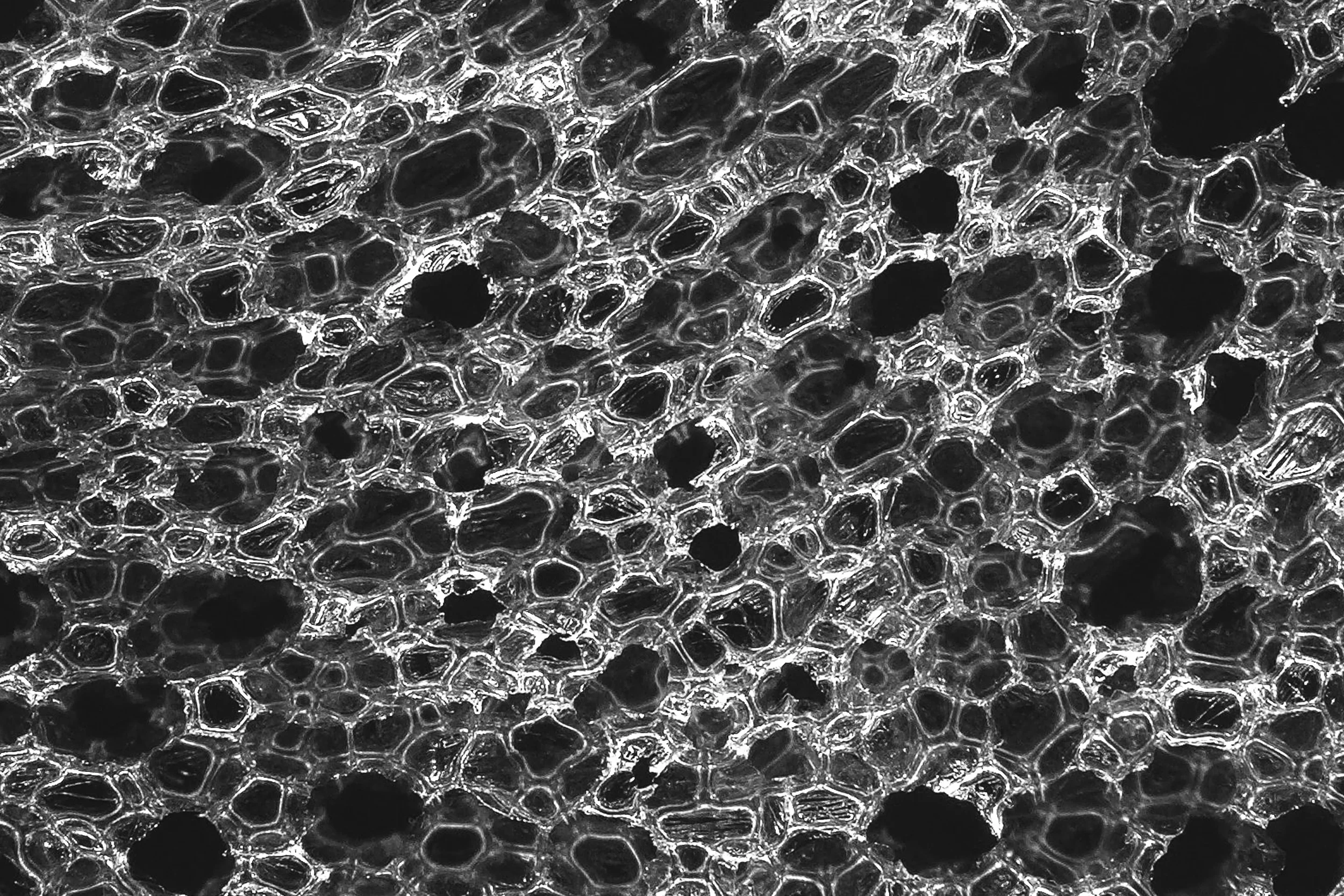 SMM_HERO_BANNER_009_BW.jpg