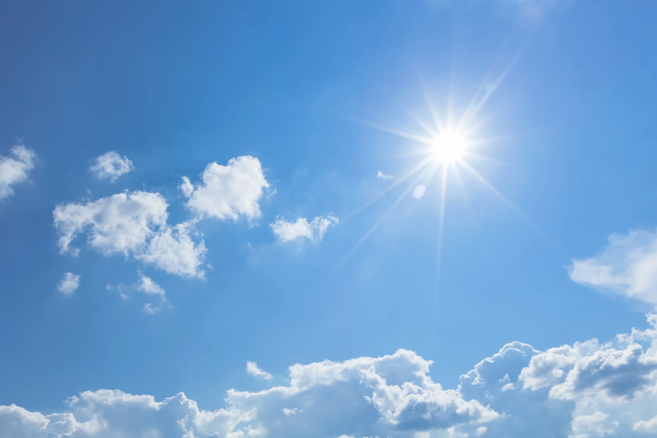sunny sky.jpg