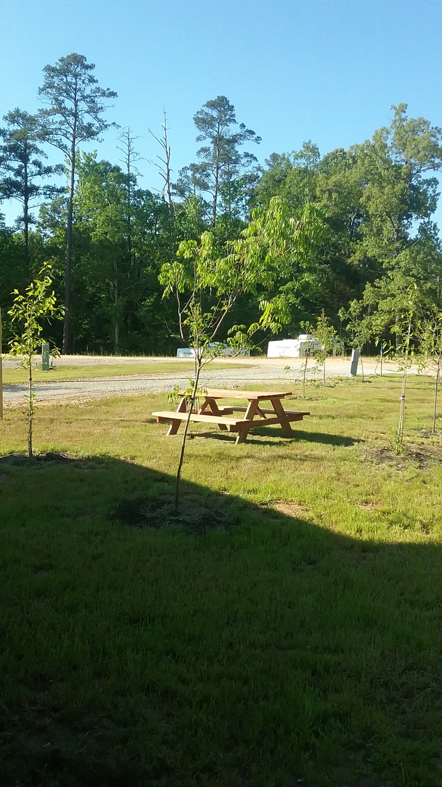 20170508_173353.jpg