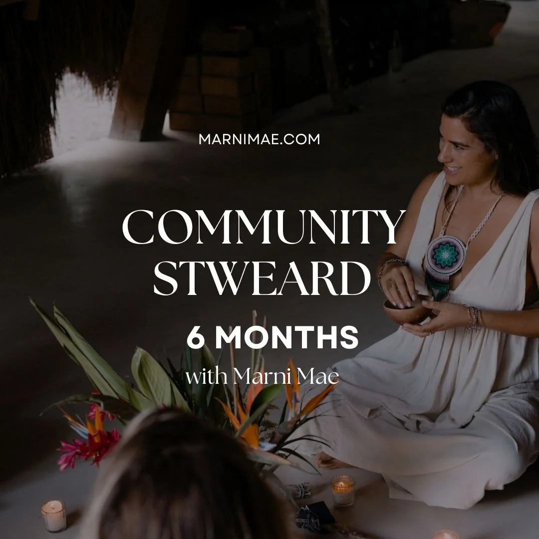 reset and energy 6 month  container  2024.jpg