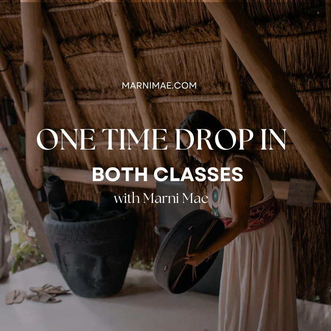 reset and energy 6 month  container  2024-5.jpg