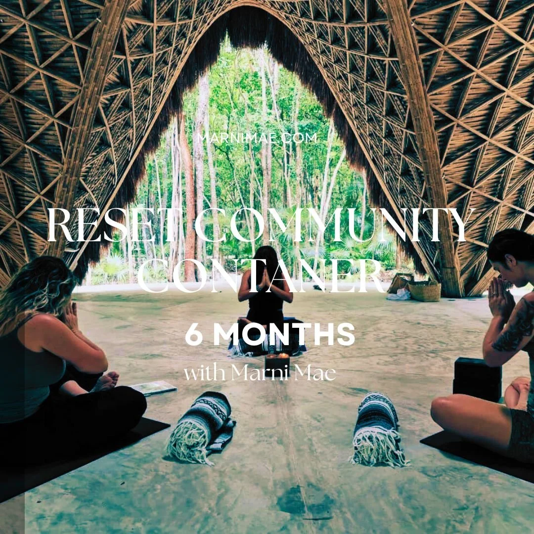 Energetic Reset container PAY IN FULL