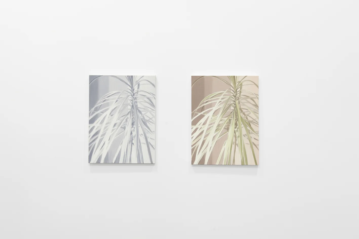 NO_HousePlants.jpg
