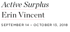 VINCENTtitle.jpg