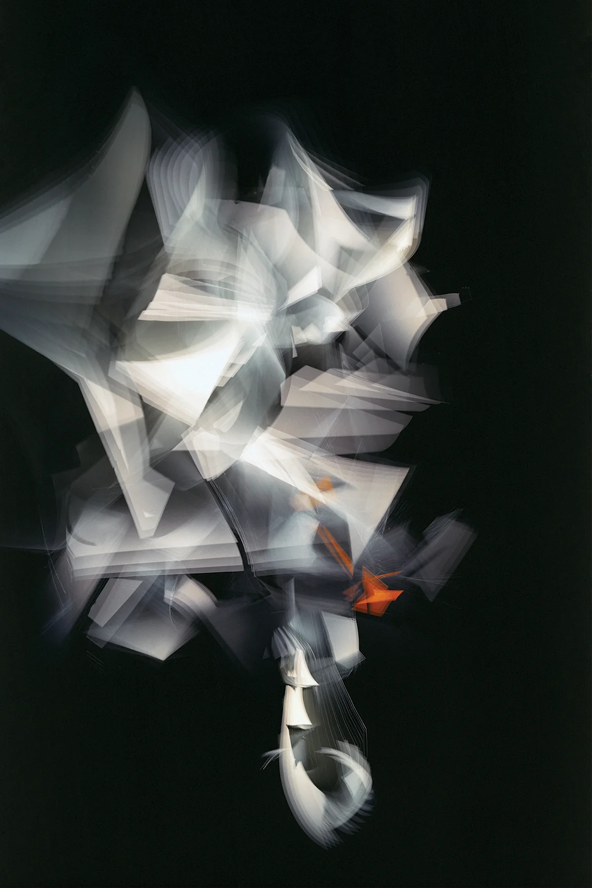 Ivory to Titian Reflex 2018 archival inkjet print edition of 3 54 x 36 inches